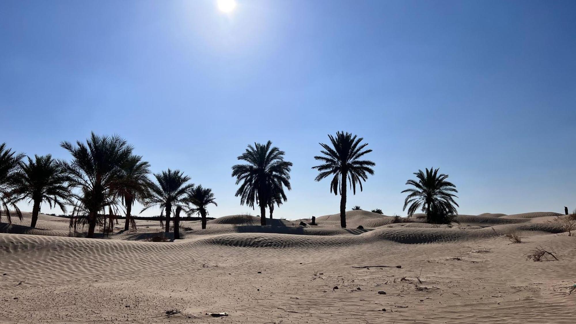 Luxury Camp Dunes Insolites Sabria Exterior foto