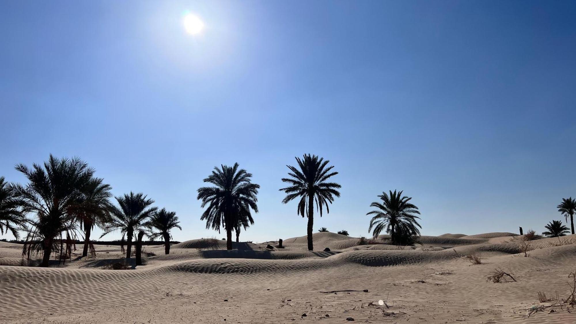 Luxury Camp Dunes Insolites Sabria Exterior foto