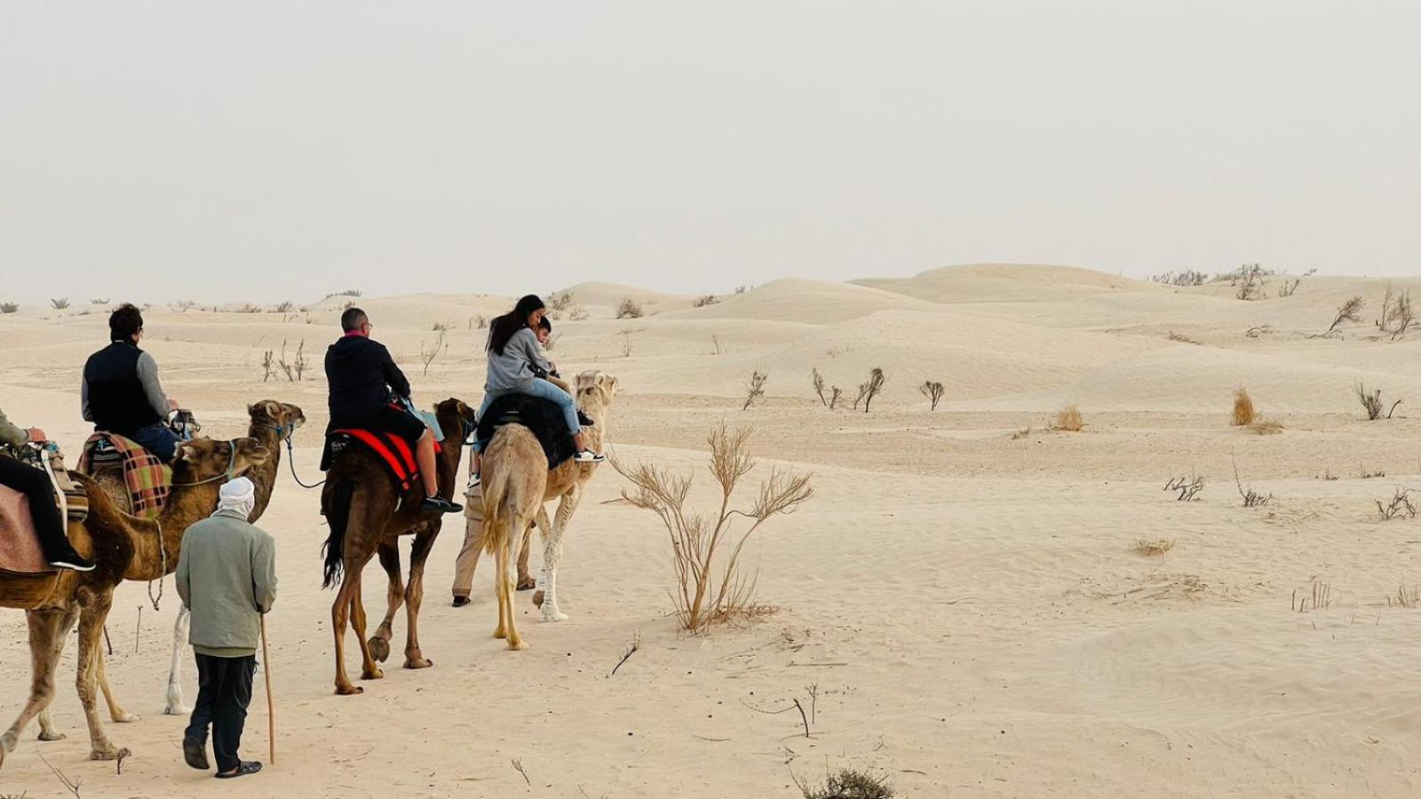 Luxury Camp Dunes Insolites Sabria Exterior foto